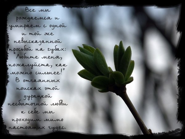 Вдохновляющие обои на рабочий стол