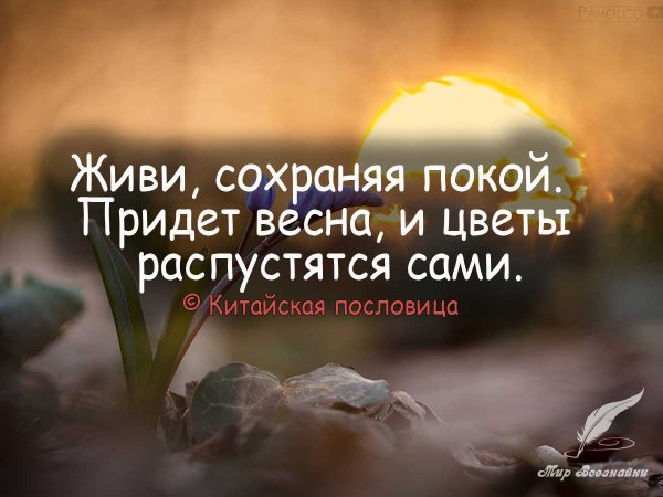 Добрый день среда Весна