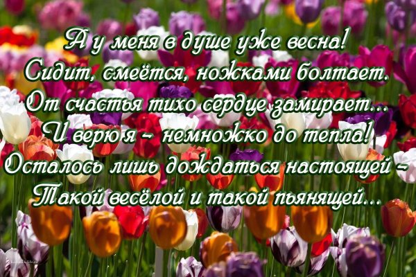 С добрым утром картинки позитивные