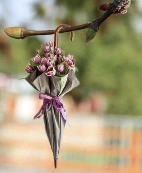 Приятные цитаты