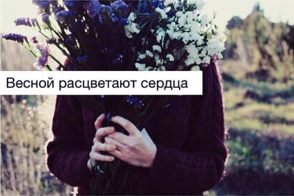 Зима не хочет уходить цитаты