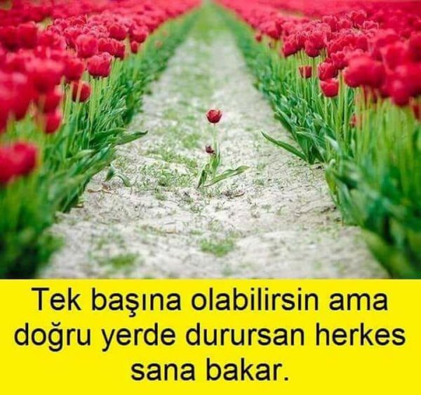 Живите и радуйтесь жизни стихи