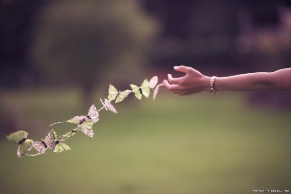 Радостные высказывания