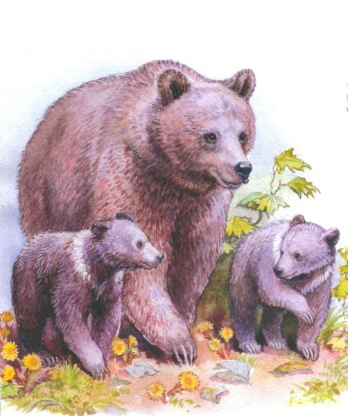 Животные весной