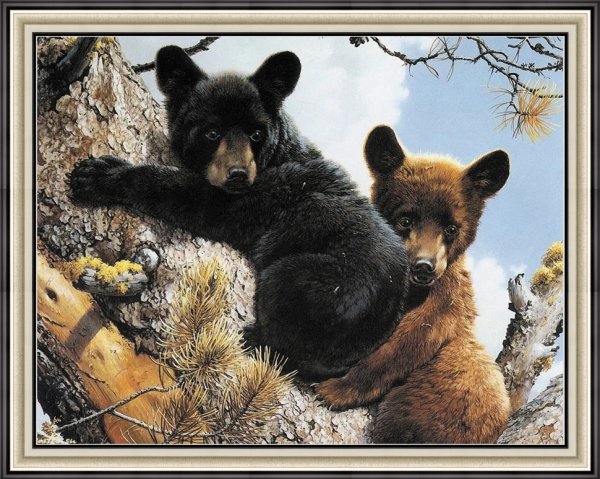 Шпиленок Игорь Камчатка