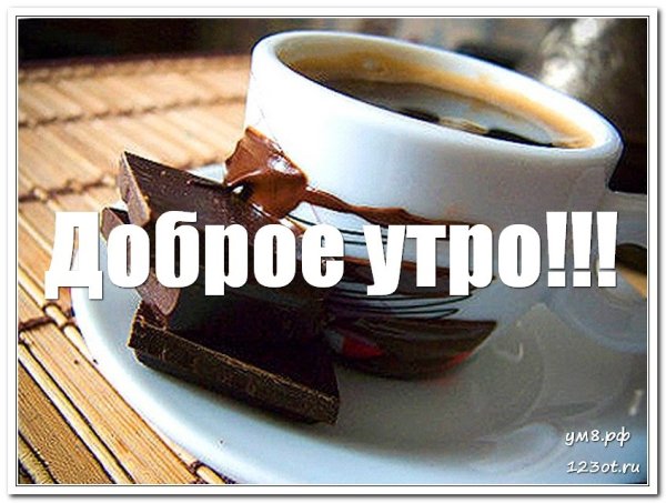 Солнечное утро цветы кофе