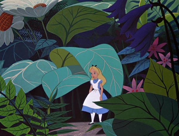 Чказочный лет с животными