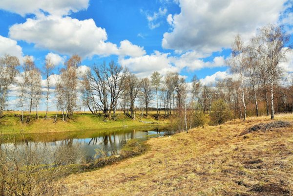 Апрель природа