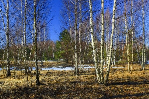 Природа Весна апрель