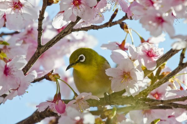 Апрельский пейзаж
