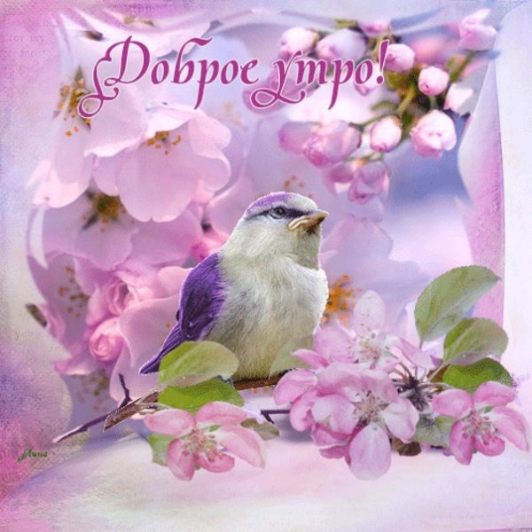 С добрым мартовским утром - картинки с надписью