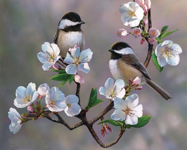 Открытки с прекрасным весенним утром