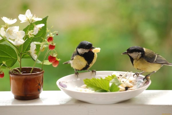 Доброе утречко с часами