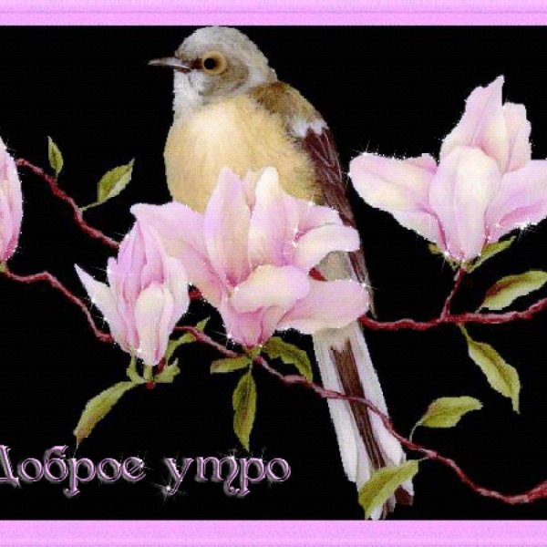 Доброго дня Весенняя тема