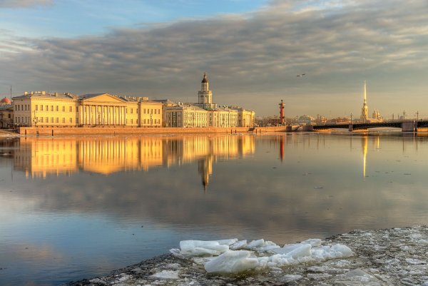 Утро в Питере весной