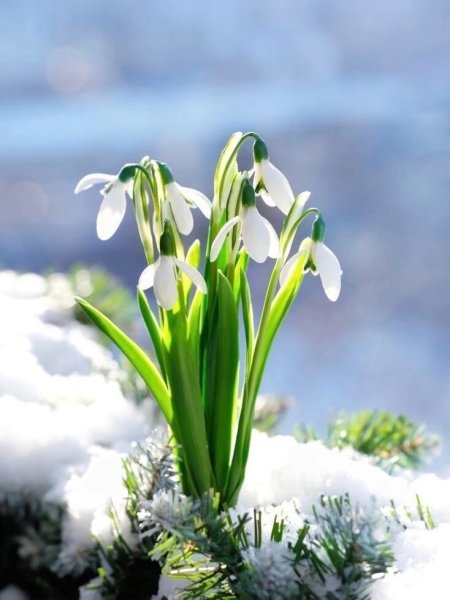 Хорошей субботы и воск