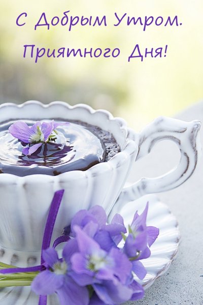 Доброе утро счастливого дня