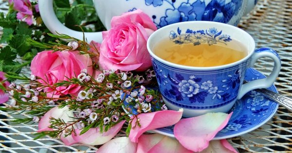 Субботнего утра и прекрасного дня