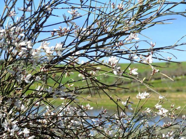 Весна в разгаре