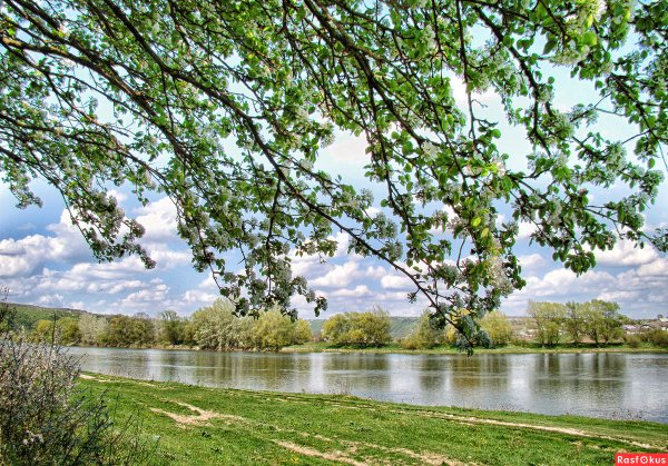 Апрель Весна в разгаре