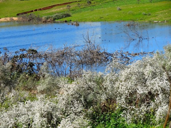 Весна в разгаре