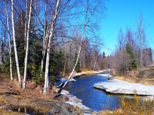 Весна в России