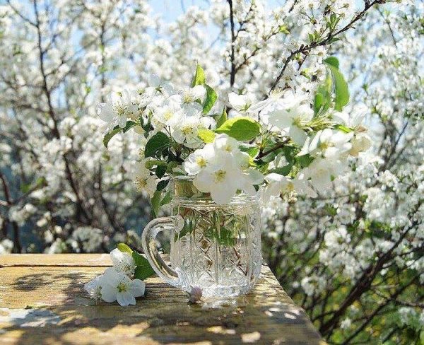 Ранняя Весна