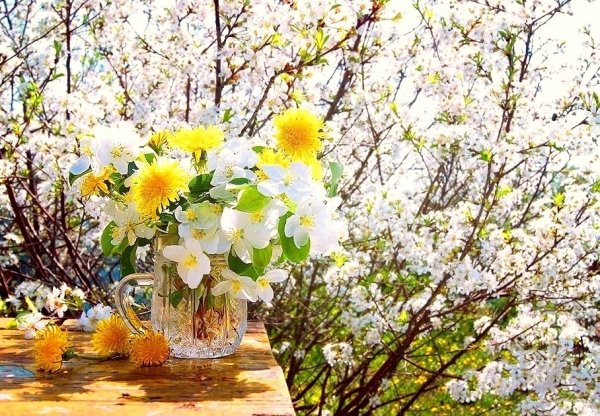 Весна в самом разгаре