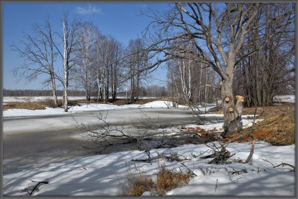 Природа весной