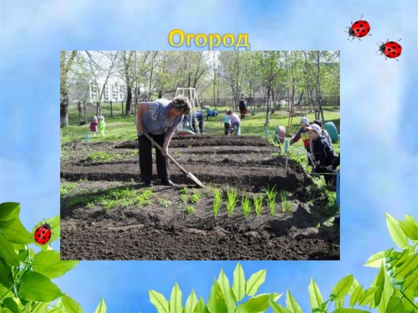 Труд людей весной в огороде