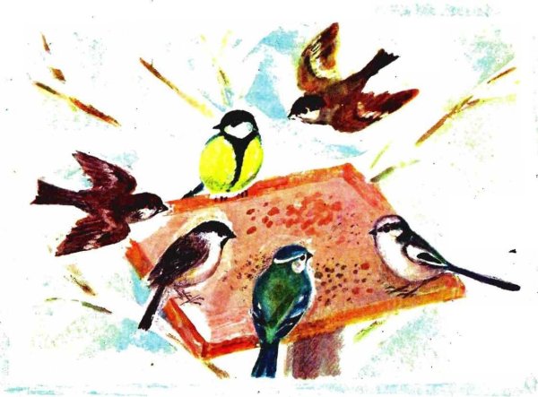 Зимующие птицы рисунок