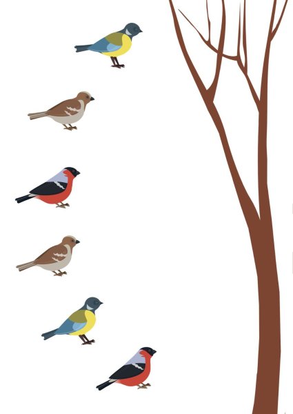 Птицы занятие для дошкольников