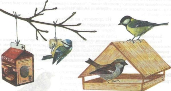 Кормушка для птиц иллюстрация