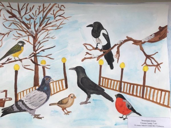 Рисунок зимующие птицы на конкурс