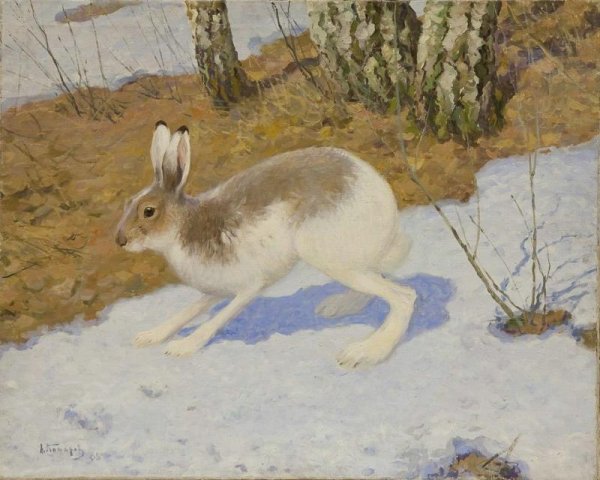 Картина заяц Беляк Комарова