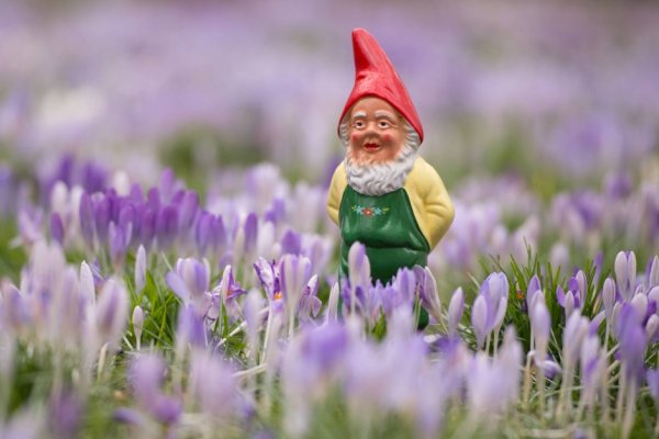 Весенний Гном