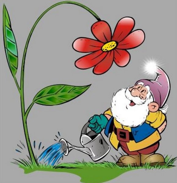 Гномы и цветы