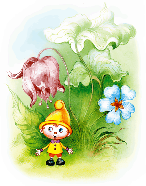 Маленький Гном