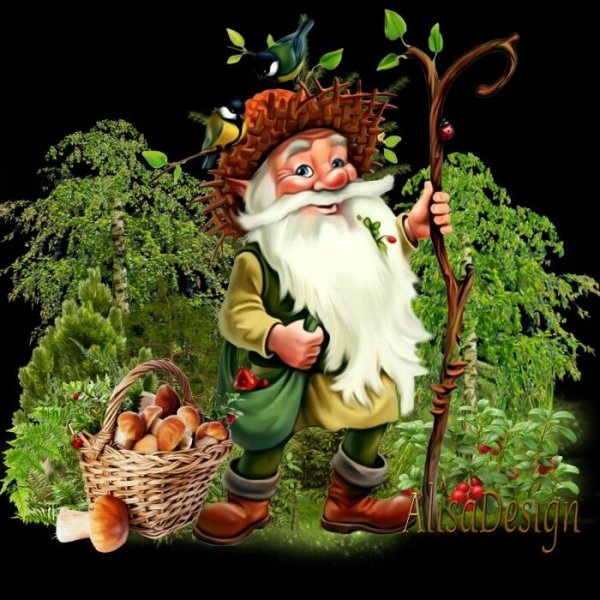 Лесовичок Боровичок Ведьмак