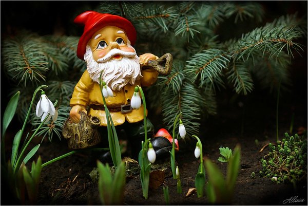 Гномик в лесу