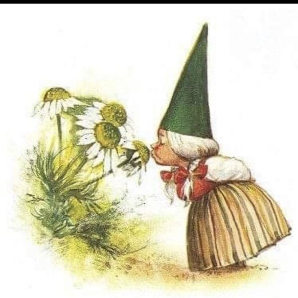 Весенний Гном иллюстрация