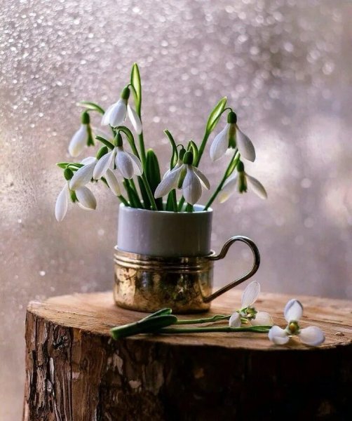 Доброе солнечное Весеннее утро