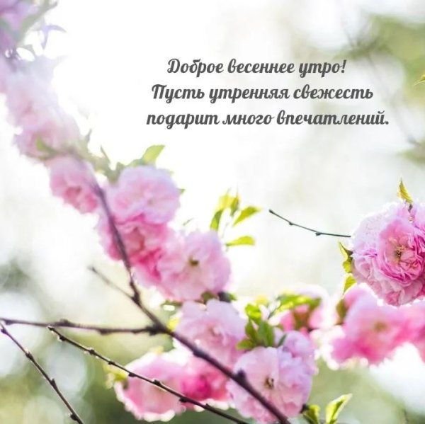 С добрым весенним утром
