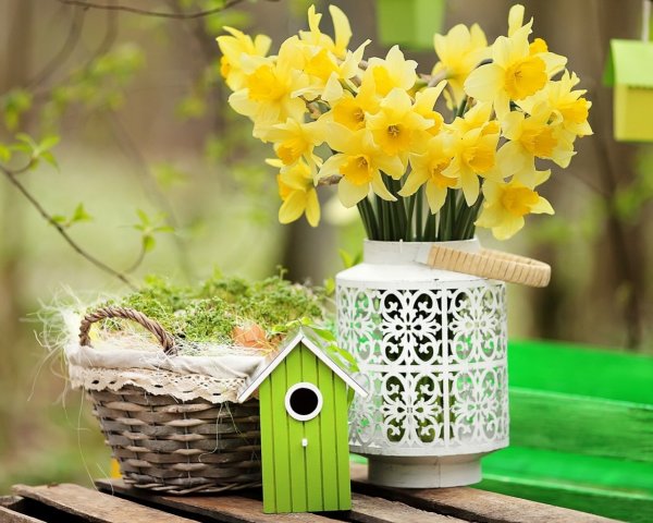 Доброе солнечное утро