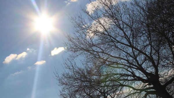 Приход весны детям