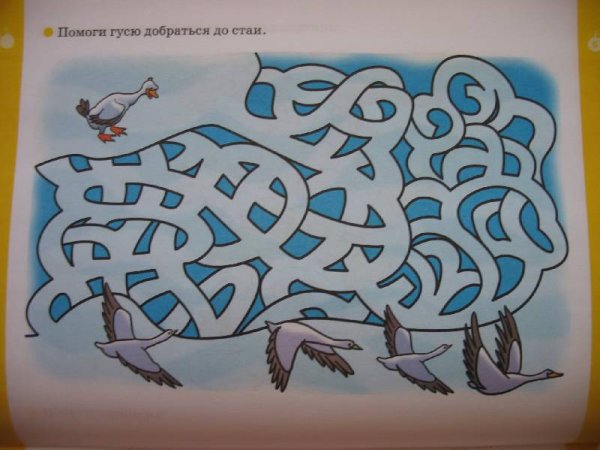 Лабиринт зимующие птицы для детей 4-5 лет