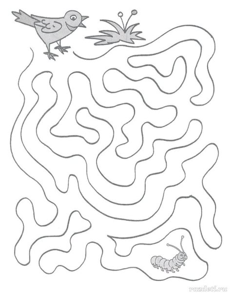 Лабиринт перелетные птицы для детей