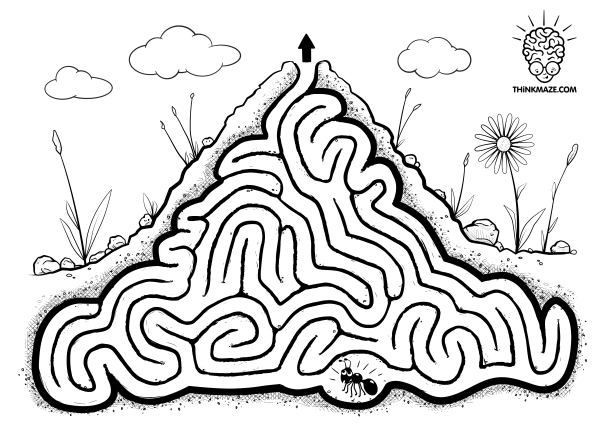 Лабиринт Муравейник