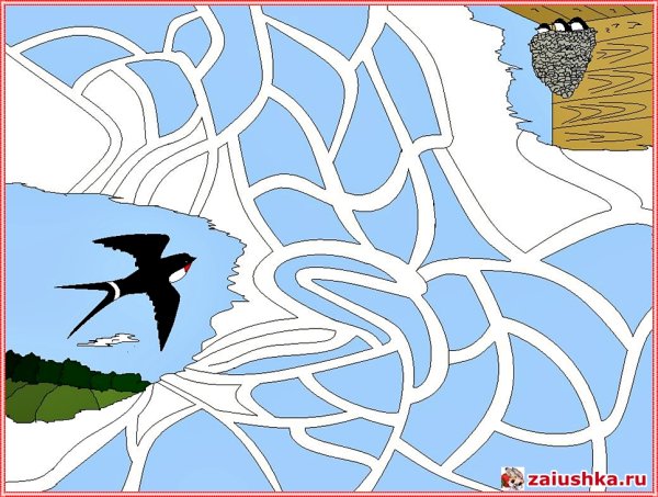 Лабиринт птицы