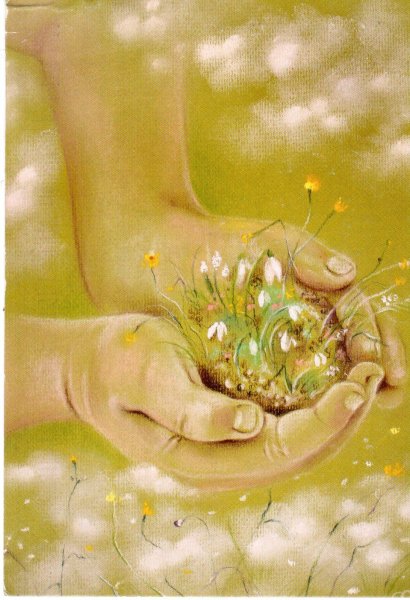 Логинова Аннет цветочные феи